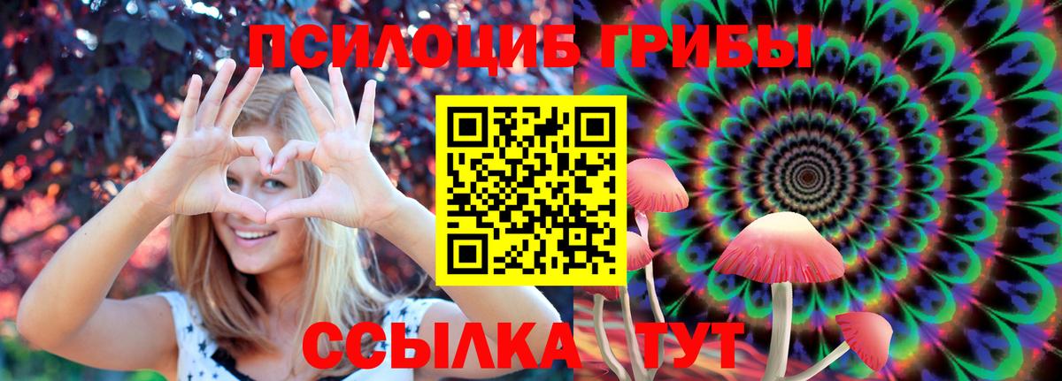 Псилоцибиновые грибы Psilocybe Россия