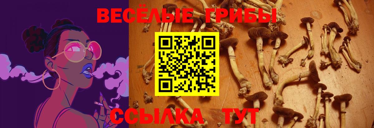 Псилоцибиновые грибы MAGIC MUSHROOMS  Галлюциногенные грибы MAGIC MUSHROOMS  Вход с VPN  Россия 